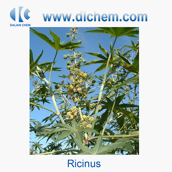 Ricinus