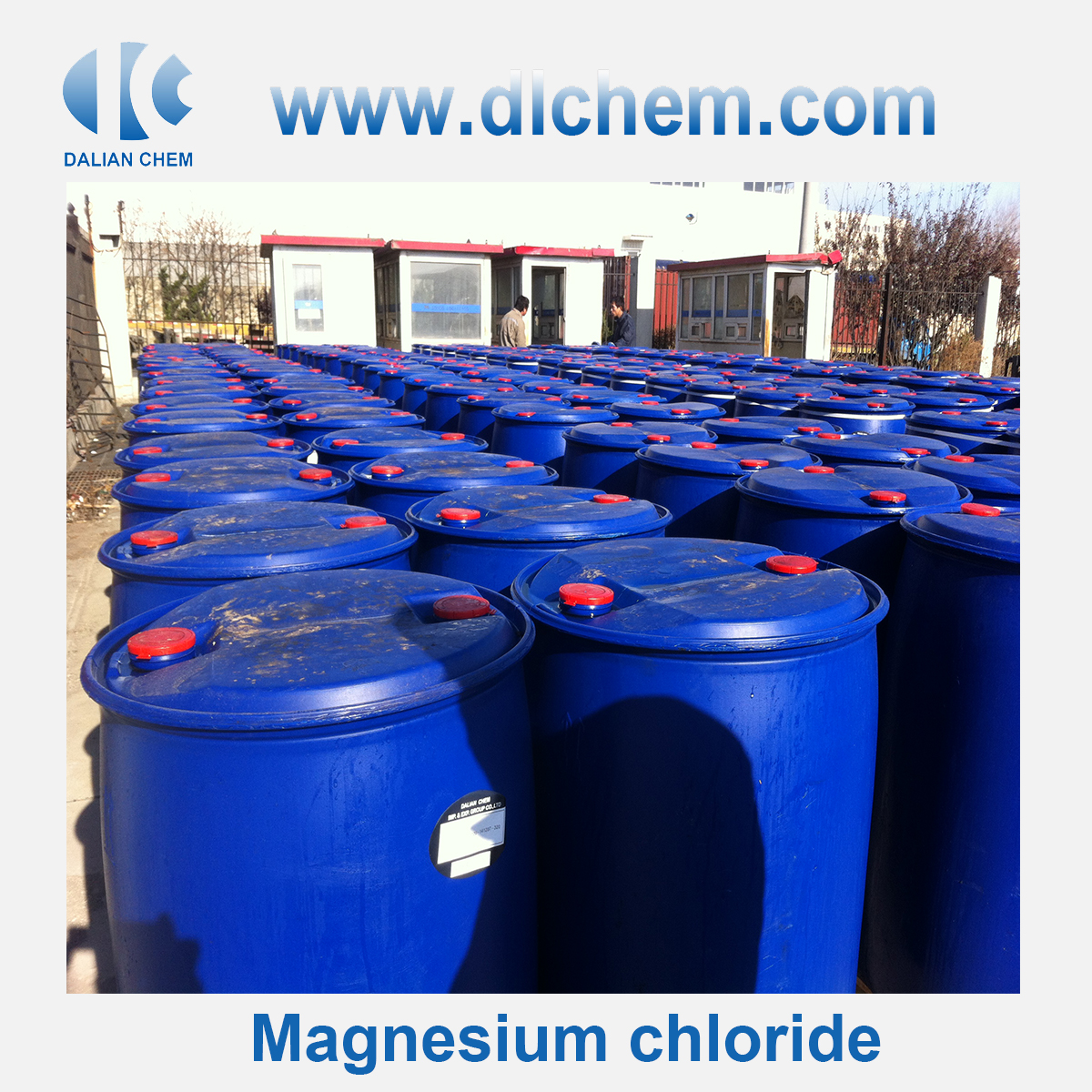 Magnesium Chloride CAS No. 7791-18-6