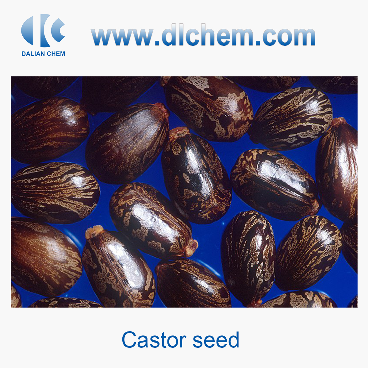 Castor oil