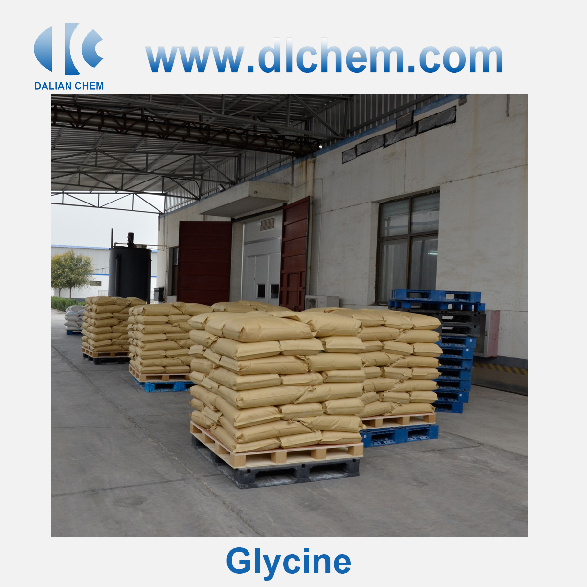 Glycine in Food Grade CAS No.56-40-6